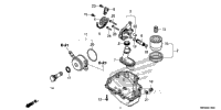 Oil Pan@Oil Pump