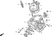 Cylinder + Cylinder Head