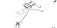 Taillight@License Light