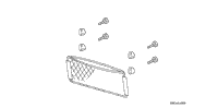 Trunk Net