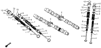 Camshaft + Valve