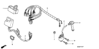 Wire Harness ('08)