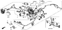 Wire Harness@Horn
