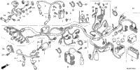 Wire Harness (1)
