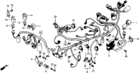 Wire Harness