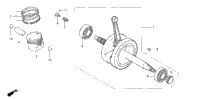 Crankshaft + Piston