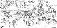 Wire Harness (Vt750c2f/C2b)