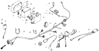 Wire Harness