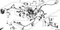 Wire Harness@Horn
