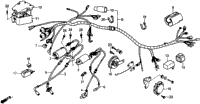 Wire Harness