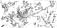 Wire Harness