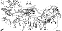 Wire Harness (2)