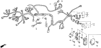 Wire Harness