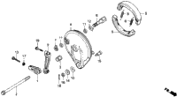 Rear Brake Panel
