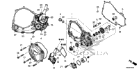 Right Crankcase Cover @Water Pump