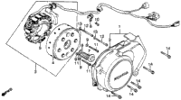 Left Crankcase Cover + Alternator