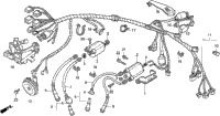 Wire Harness