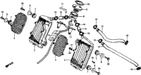 Radiator 81