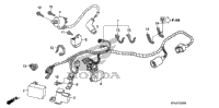 Wire Harness