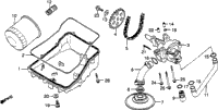Oil Filter + Oil Pan + Oil Pump