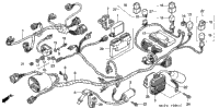 Wire Harness (Rr.)