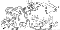 Wire Harness