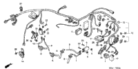 Wire Harness