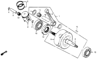 Crankshaft + Piston