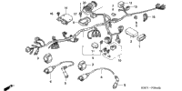 Wire Harness