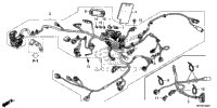 Wire Harness (2)