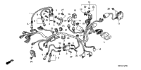 Wire Harness