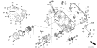 Right Crankcase Cover