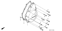 Left Crankcase Cover