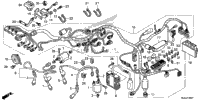 Wire Harness (2)