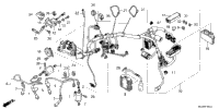 Wire Harness (3)