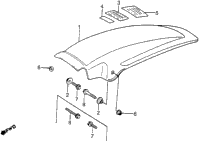 Rear Fender 81