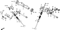 Camshaft + Valve 83-84