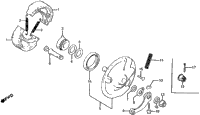 Rear Brake Panel
