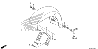 Front Fender (1)