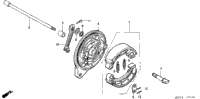 Rear Brake Panel