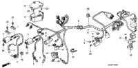 Wire Harness