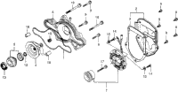 Water Pump + C.D.I. Pulser