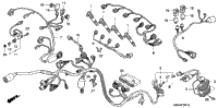Wire Harness ('01-'03)