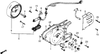 Left Crankcase Cover + Alternator