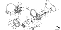 Right Crankcase Cover @Water Pump