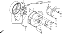 Left Crankcase Cover + Alternator