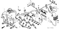 Wire Harness (1)