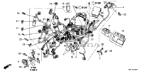 Wire Harness
