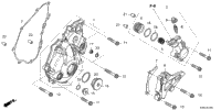 Left Crankcase Cover (Crf250rwe)