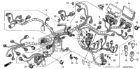 Wire Harness (St1300a)